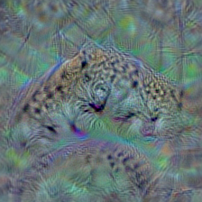 n02128385 leopard, Panthera pardus